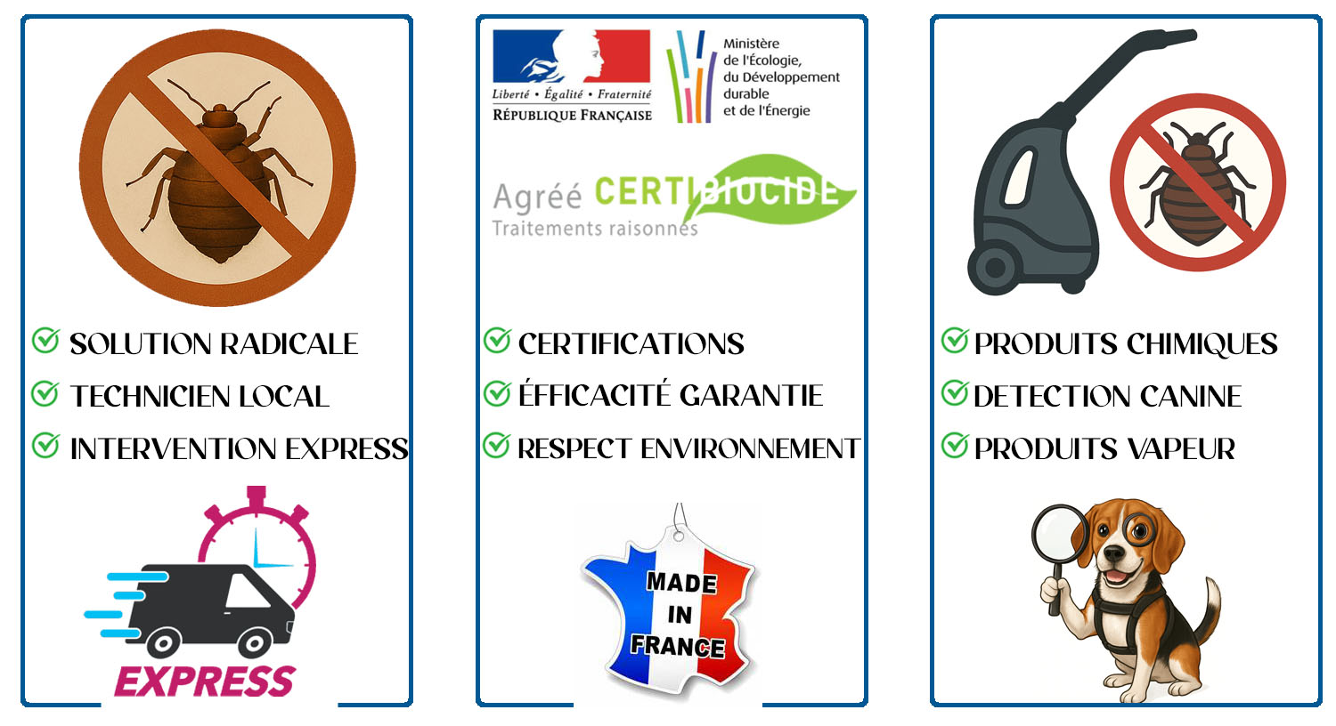 Punaises de Lit Herouville 95300