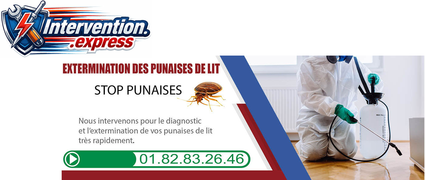 Punaises de Lit episy 77250